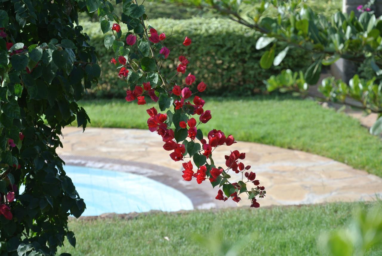 Nyati Hill Cottages Nairobi Luaran gambar